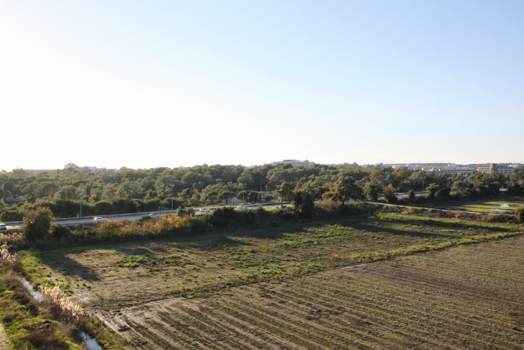 Вид с балкона