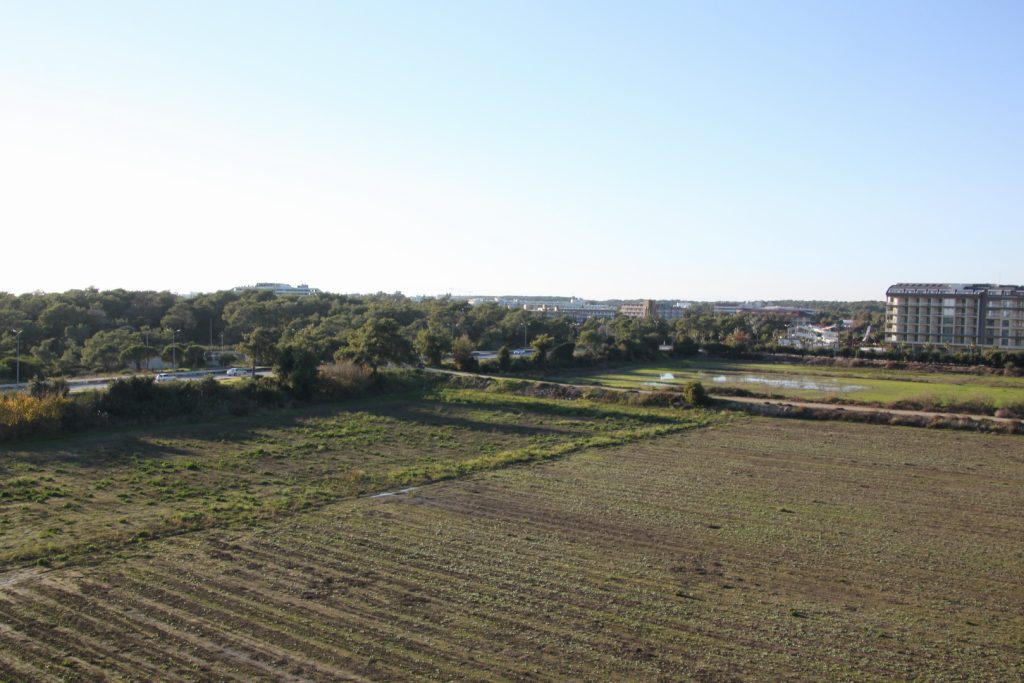 Вид с балкона